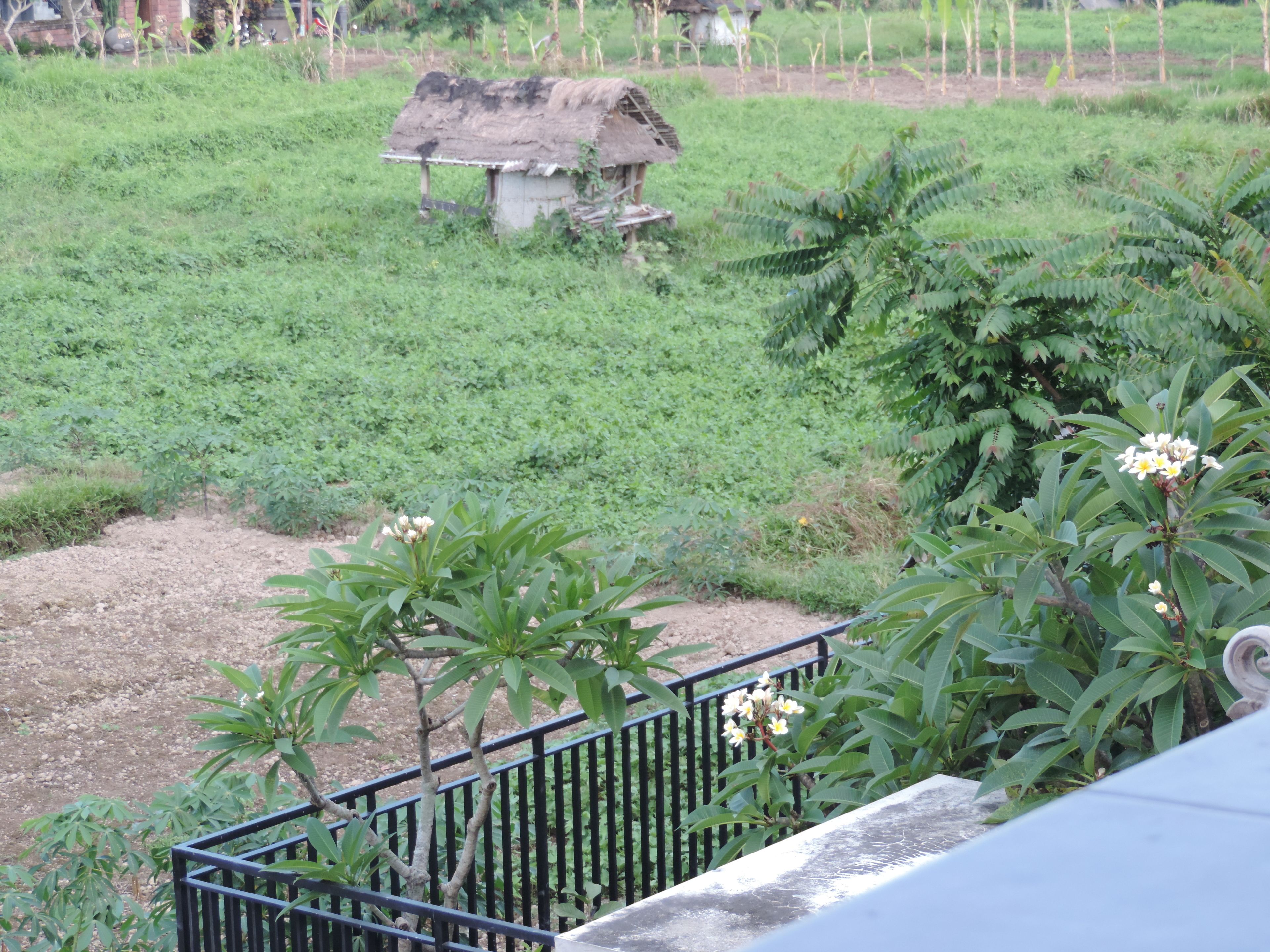 Photo - Duana Sari Ubud by Mahaputra