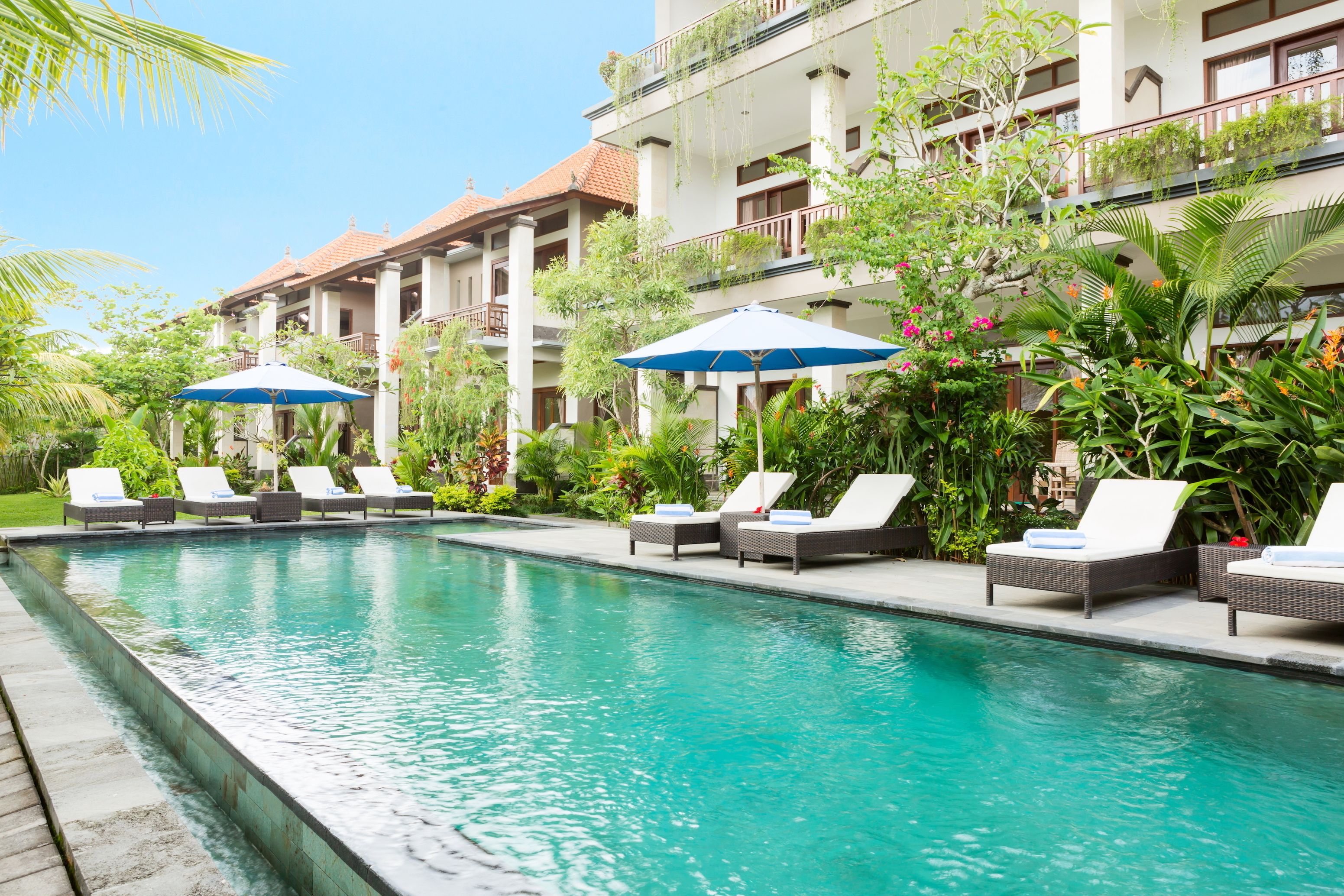 outdoor pool, pool loungers