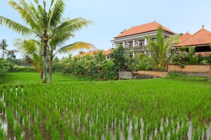 View from property - Kiskenda Cottages (Ubud)