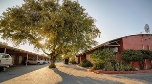 Garden - Mokoro Lodge (Maun)