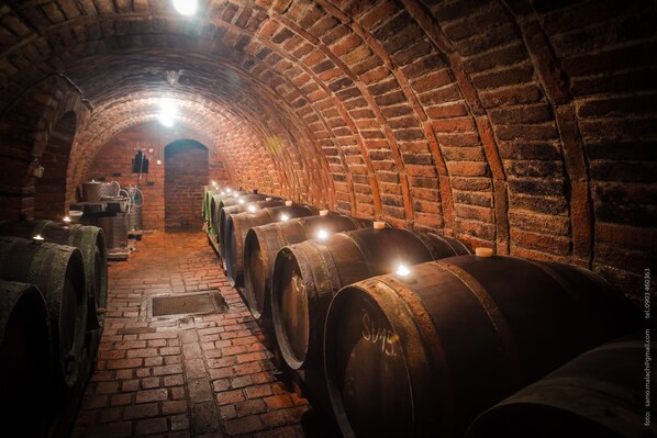 Un túnel con paredes de ladrillo y barriles de madera alineados.