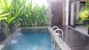 A swimming pool with a metal ladder, surrounded by lush green plants and a wooden door. - Puri Mesari Suites (Denpasar)