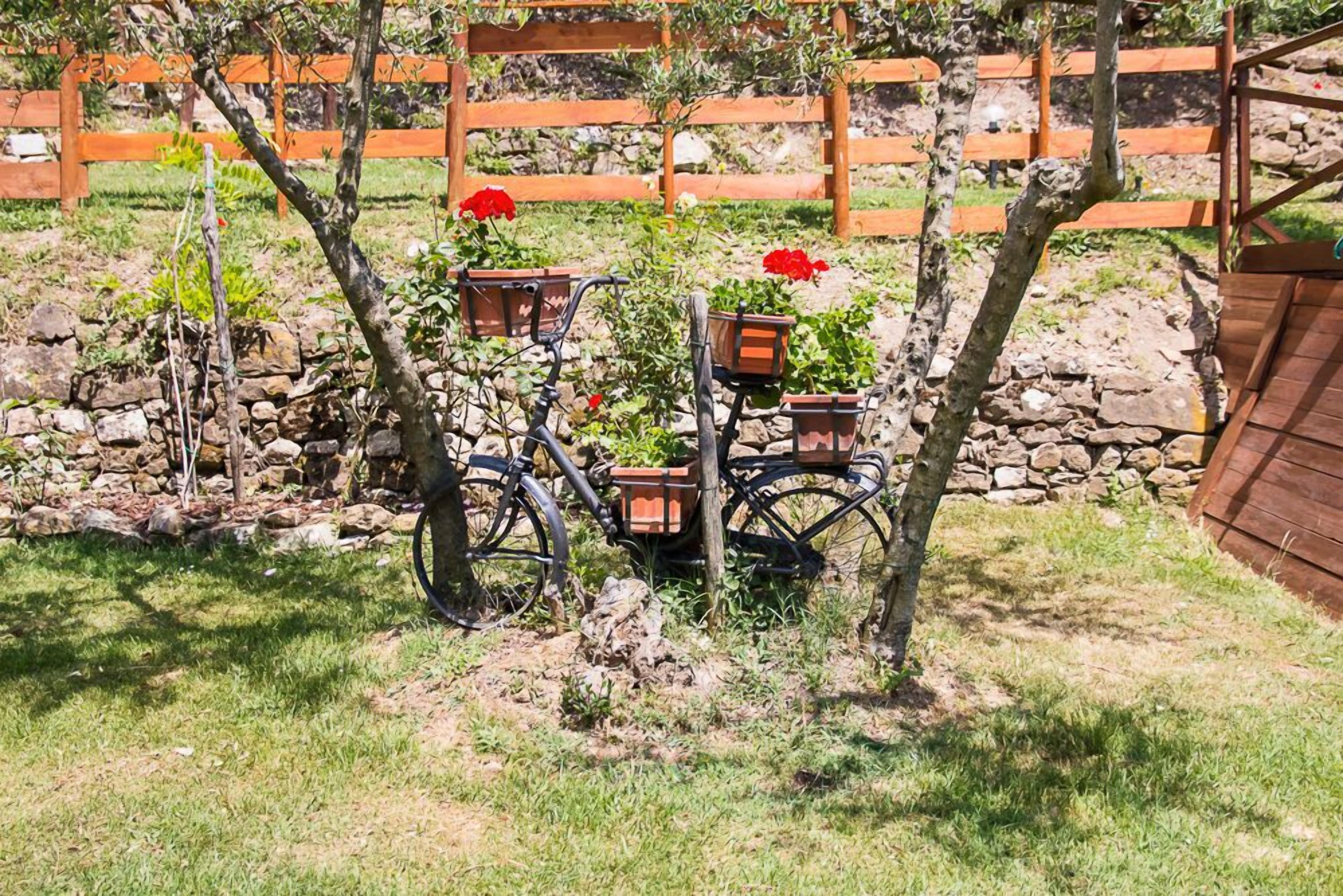 A garden area with a wooden fence, a bicycle, and potted plants.