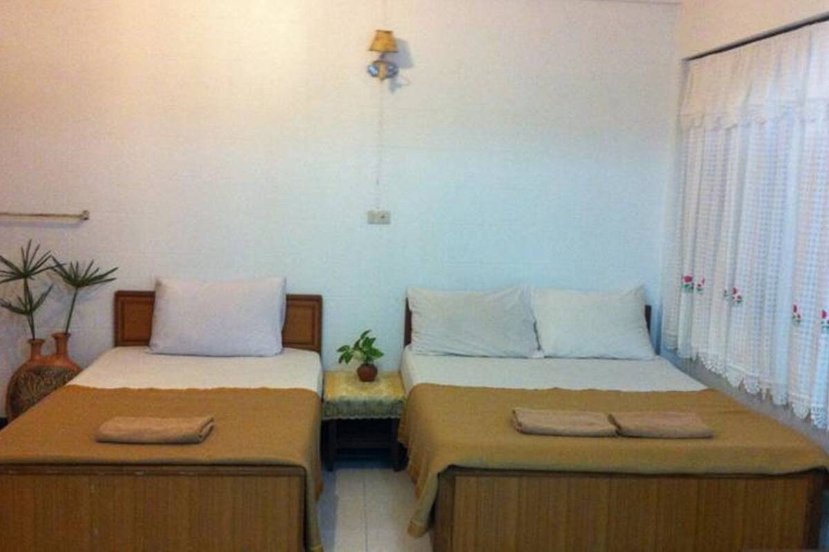 A room with two beds, each with a brown bedspread and white pillows, a small table with a plant, and a window with white curtains.