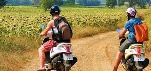 Fitness facility - Nett Hotel (Lop Buri)