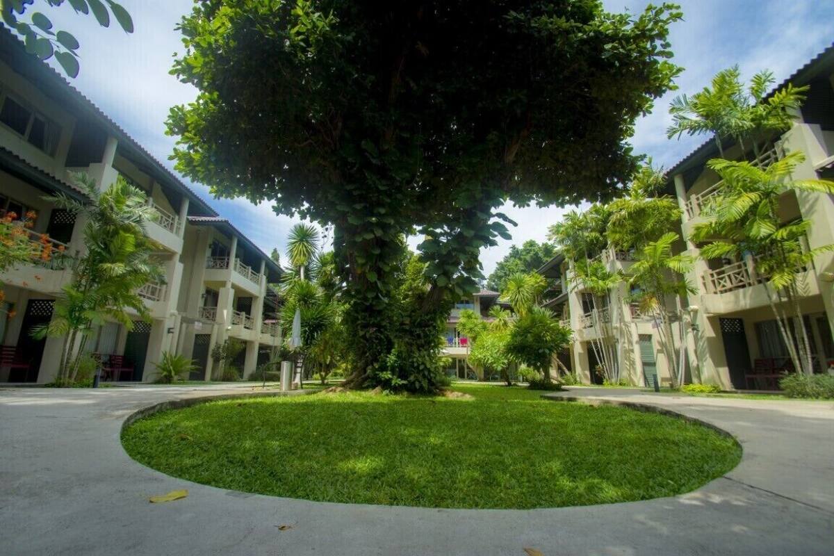 A courtyard with a large tree, surrounded by buildings with balconies and a central circular lawn.