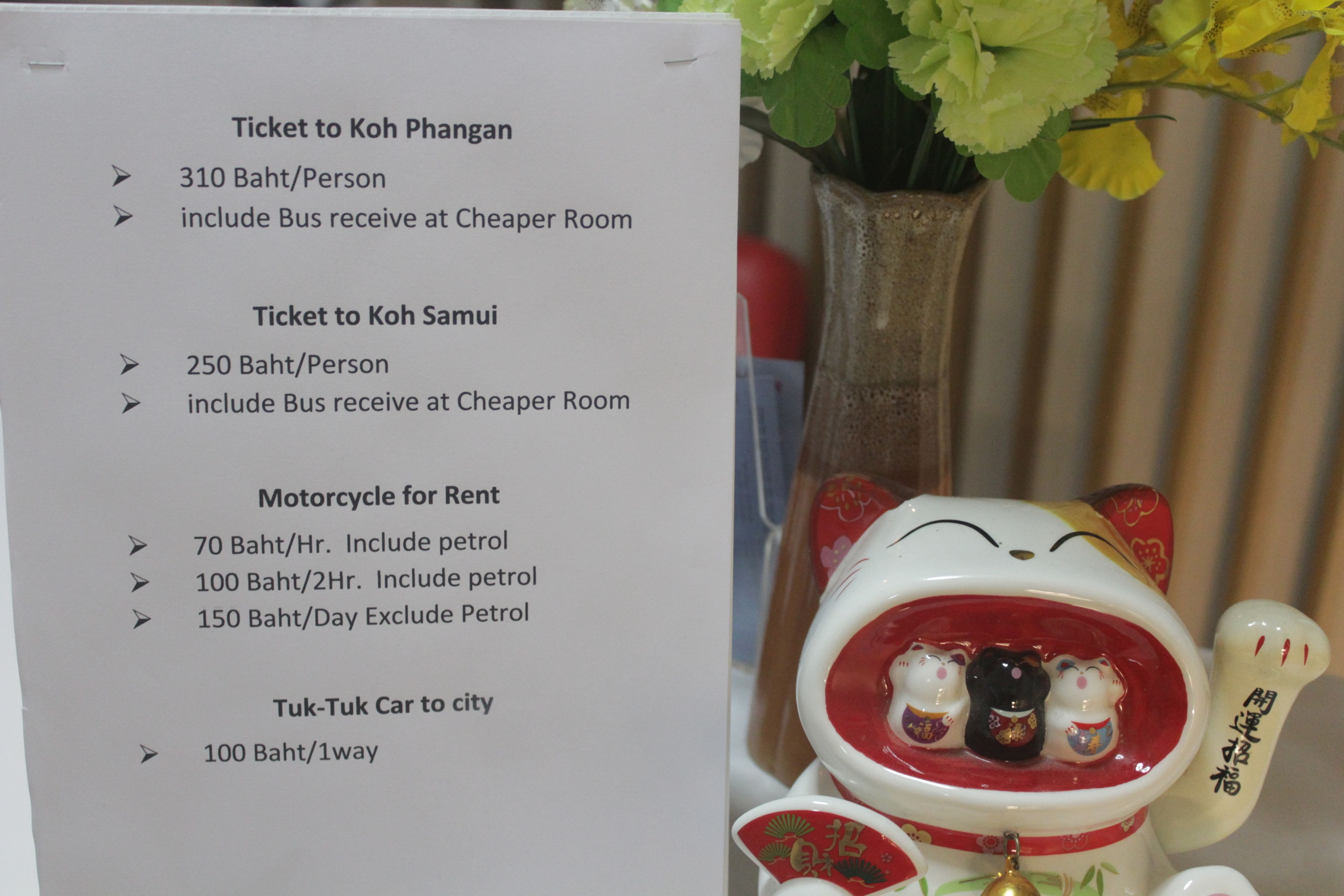 A travel information sign listing ticket prices and rental options for transportation to Koh Phangan and Koh Samui, and a ceramic figurine of a cat with a red interior.