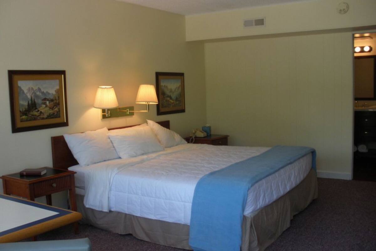 Phòng Deluxe, 1 giường cỡ king | Bàn ủi/dụng cụ ủi quần áo, truy cập Internet không dây miễn phí