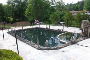 Piscina natural