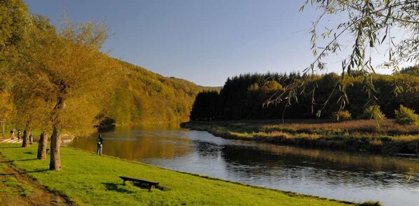 A riverside park with a bench and trees. - Auberge d'Alle (Vresse-sur-Semois)