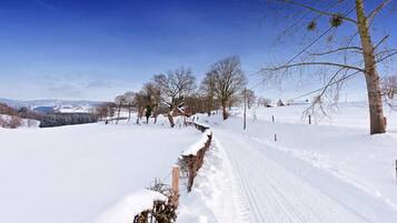 A snow-covered rural road with bare trees and a clear blue sky.