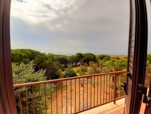 Phòng Suite Cao cấp, ban công, quang cảnh biển | Ban công