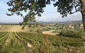 Villa, 5 chambres | Vue de la chambre