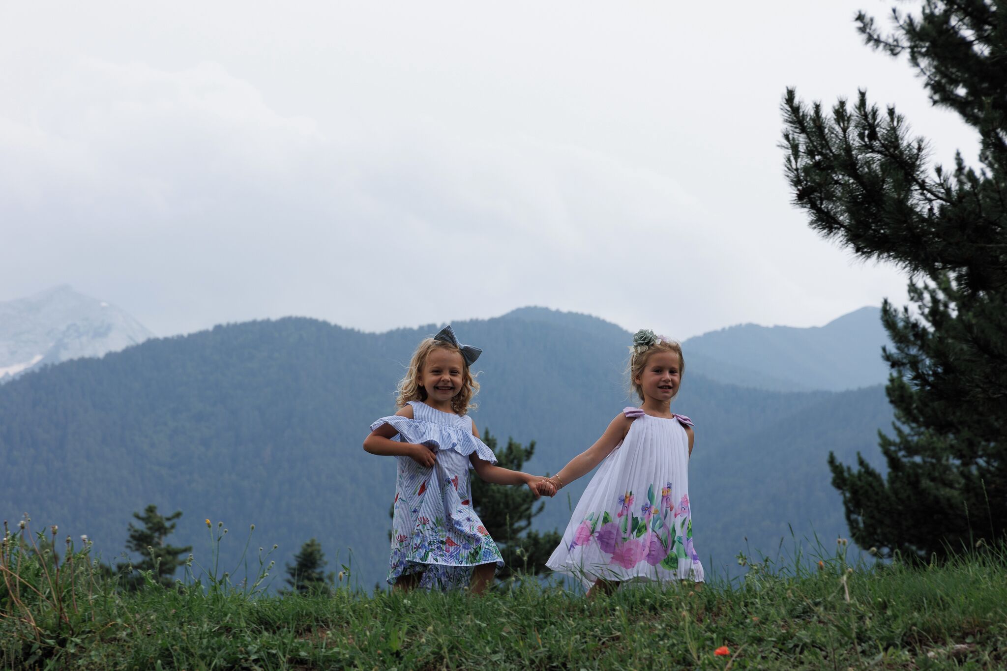 Two children holding hands in a grassy field with a mountain backdrop.