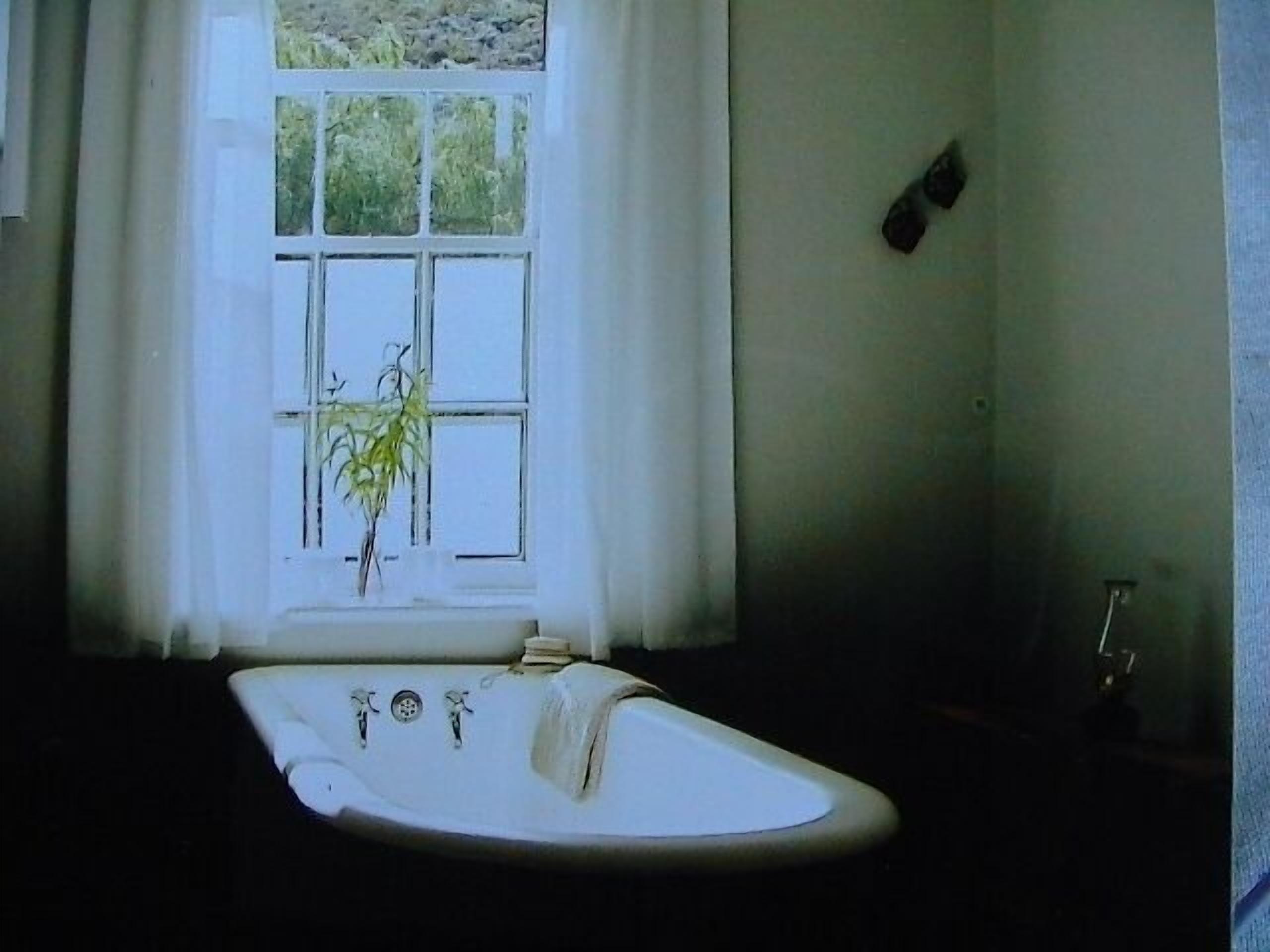 A bathroom with a bathtub, a window with curtains, and a plant.