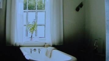 A bathroom with a bathtub, a window with curtains, and a plant.