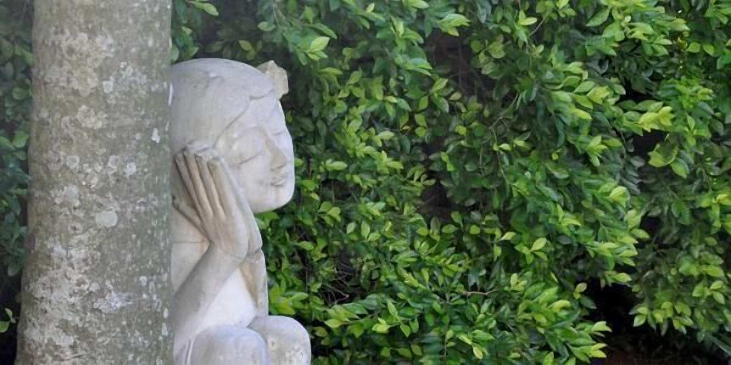 Foto - 268 On Ridge Guesthouse