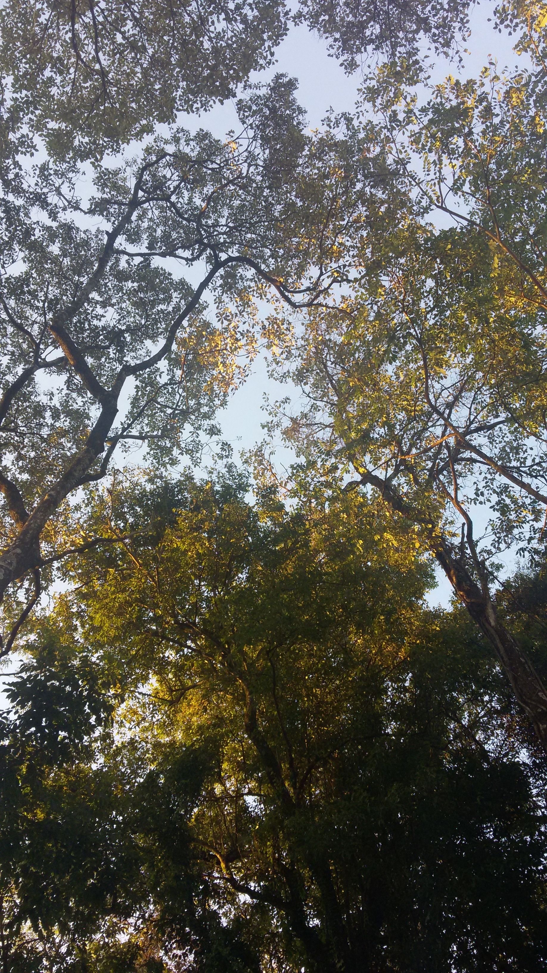 Foto - Kelta Hotel Puerto Iguazú CENTRO