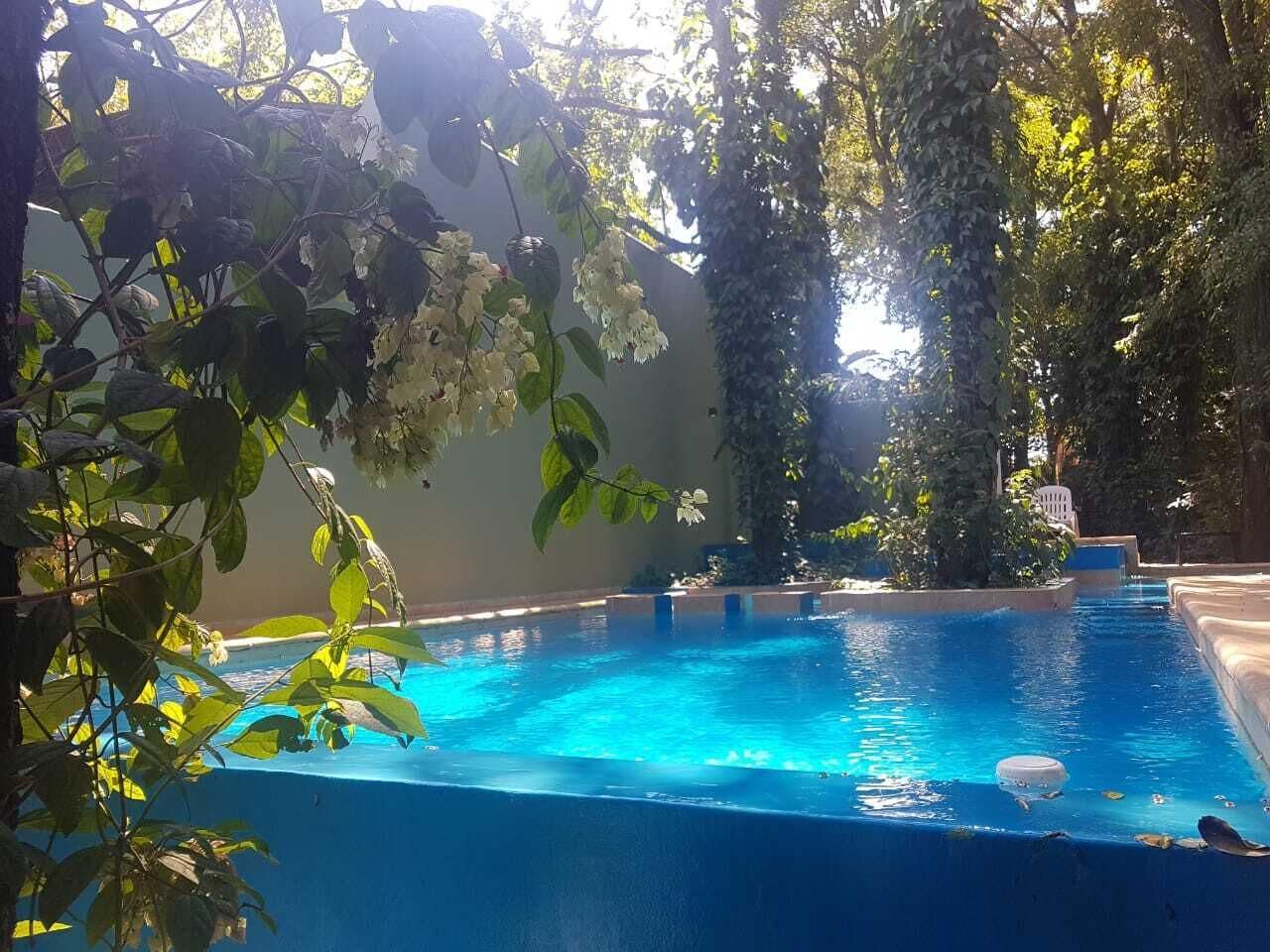 حمّام سباحة خارجي