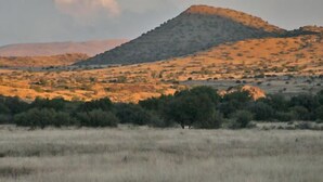 A flat landscape with sparse vegetation and a hill in the background. - Otterskloof Private Game Reserve (Kopanong)
