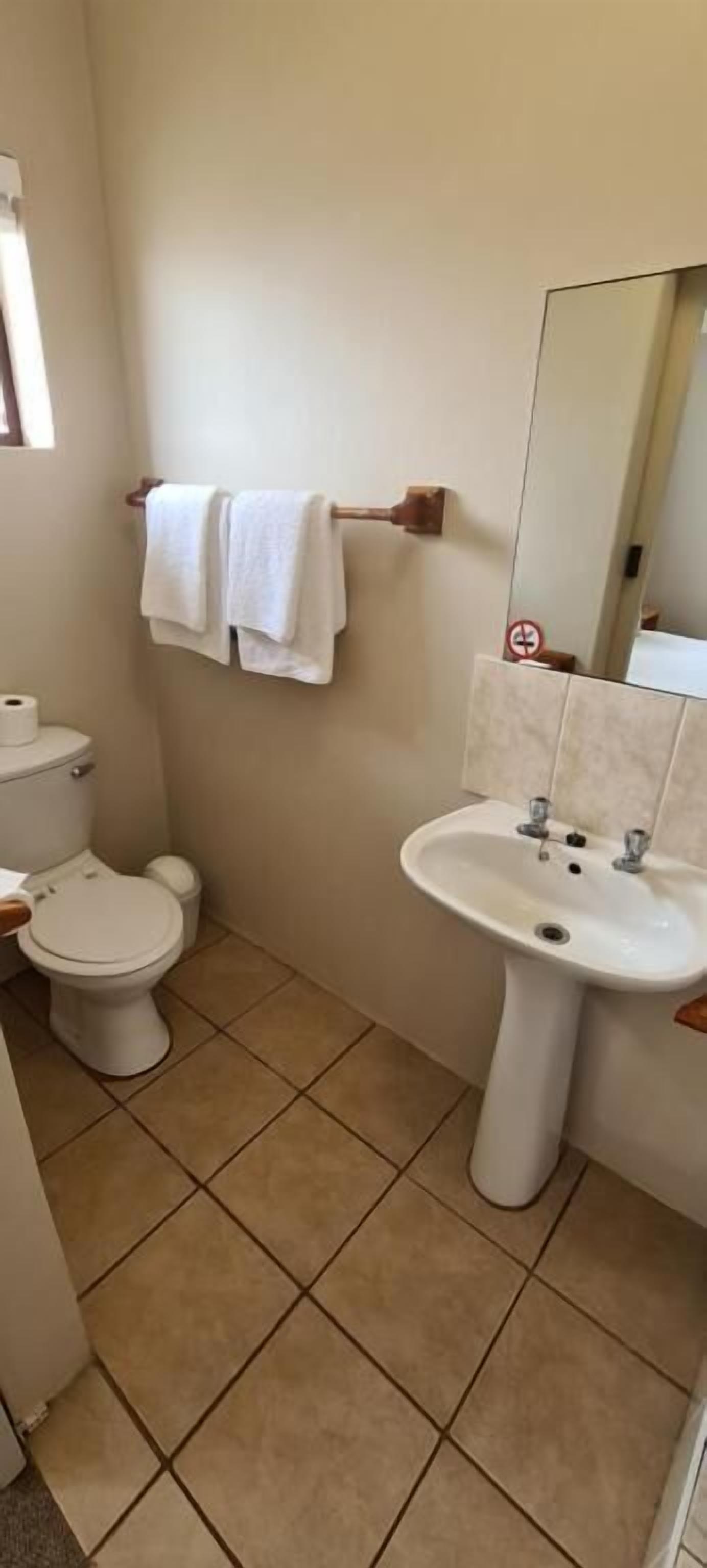 A bathroom with a toilet, sink, and mirror.