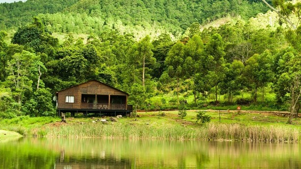 A cabin by a lake surrounded by dense forest. - Magoebaskloof Getaway (Tzaneen)