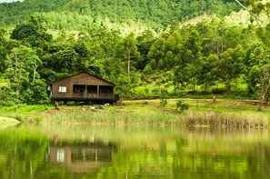 Una baita accanto a un lago, circondata da una fitta foresta.