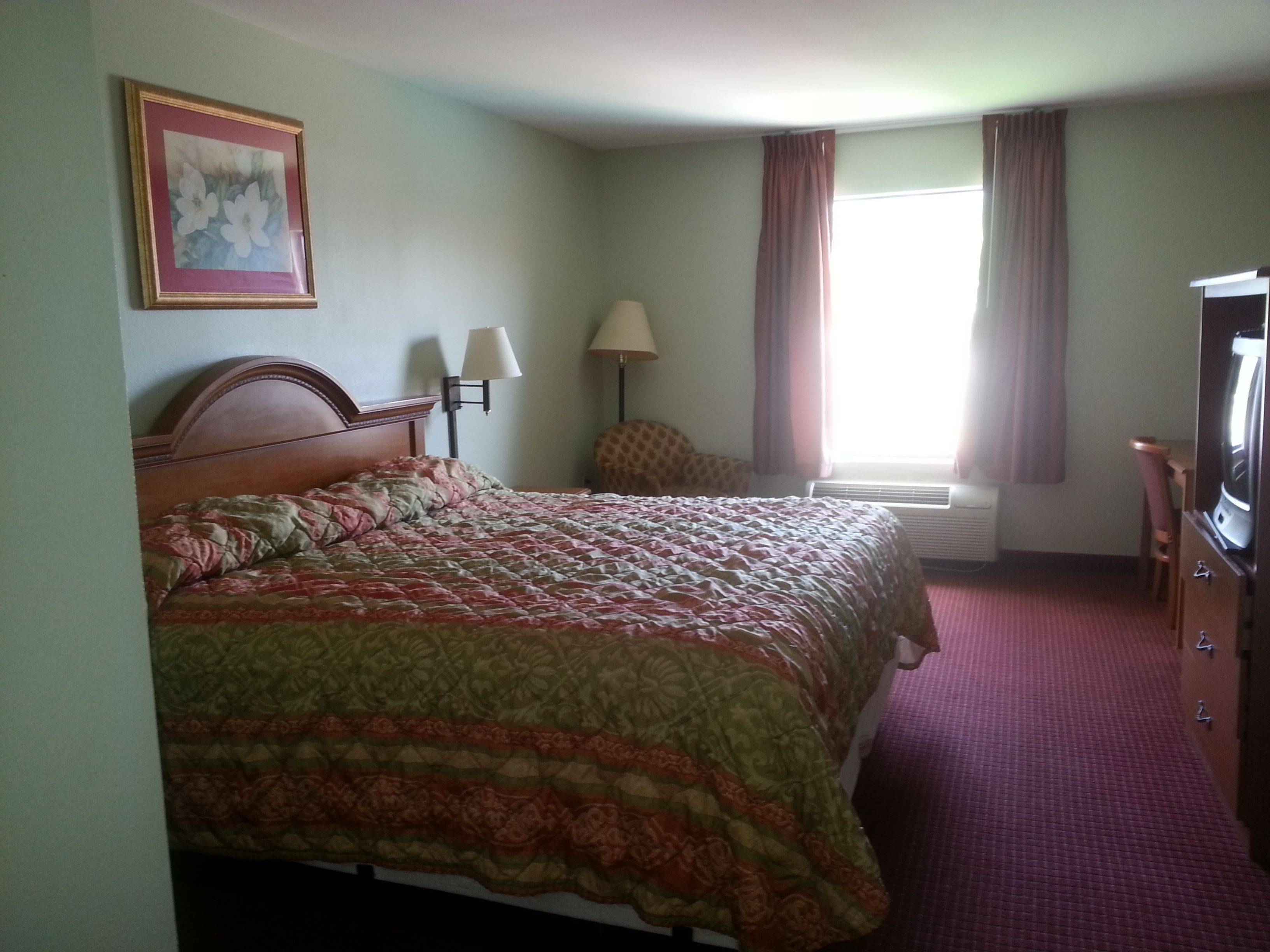 Quarto de hotel com uma cama, televisão, luminária e um quadro na parede.