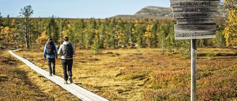 A wooden boardwalk with two people walking, surrounded by autumn-colored trees and a signpost with destinations.