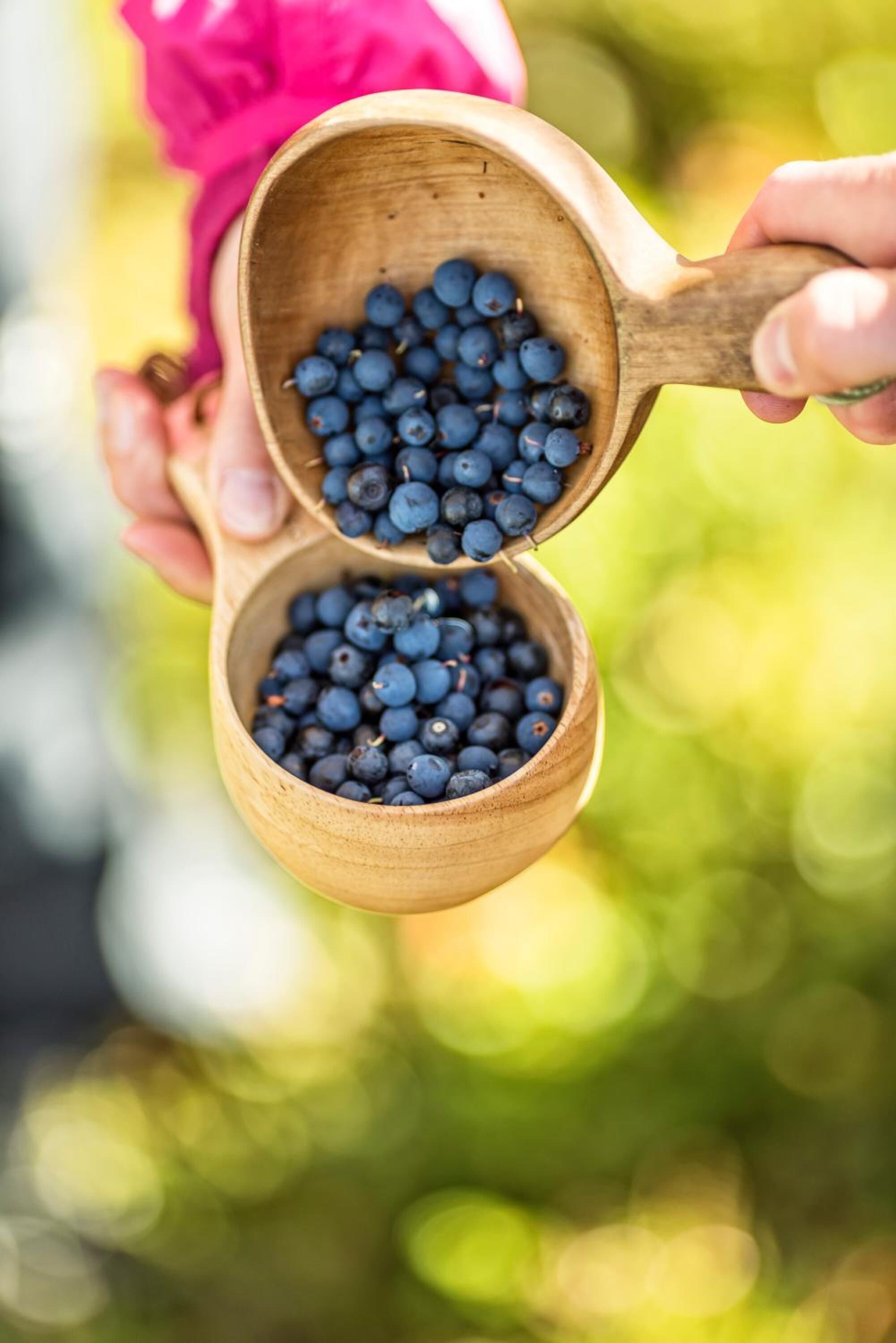 breakfast, lunch, dinner served; local cuisine