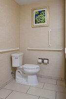 Un baño con inodoro, barras de apoyo, un cuadro en la pared y un rollo de papel higiénico.