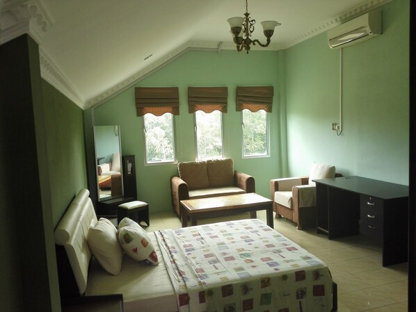 Desk, iron/ironing board, free WiFi