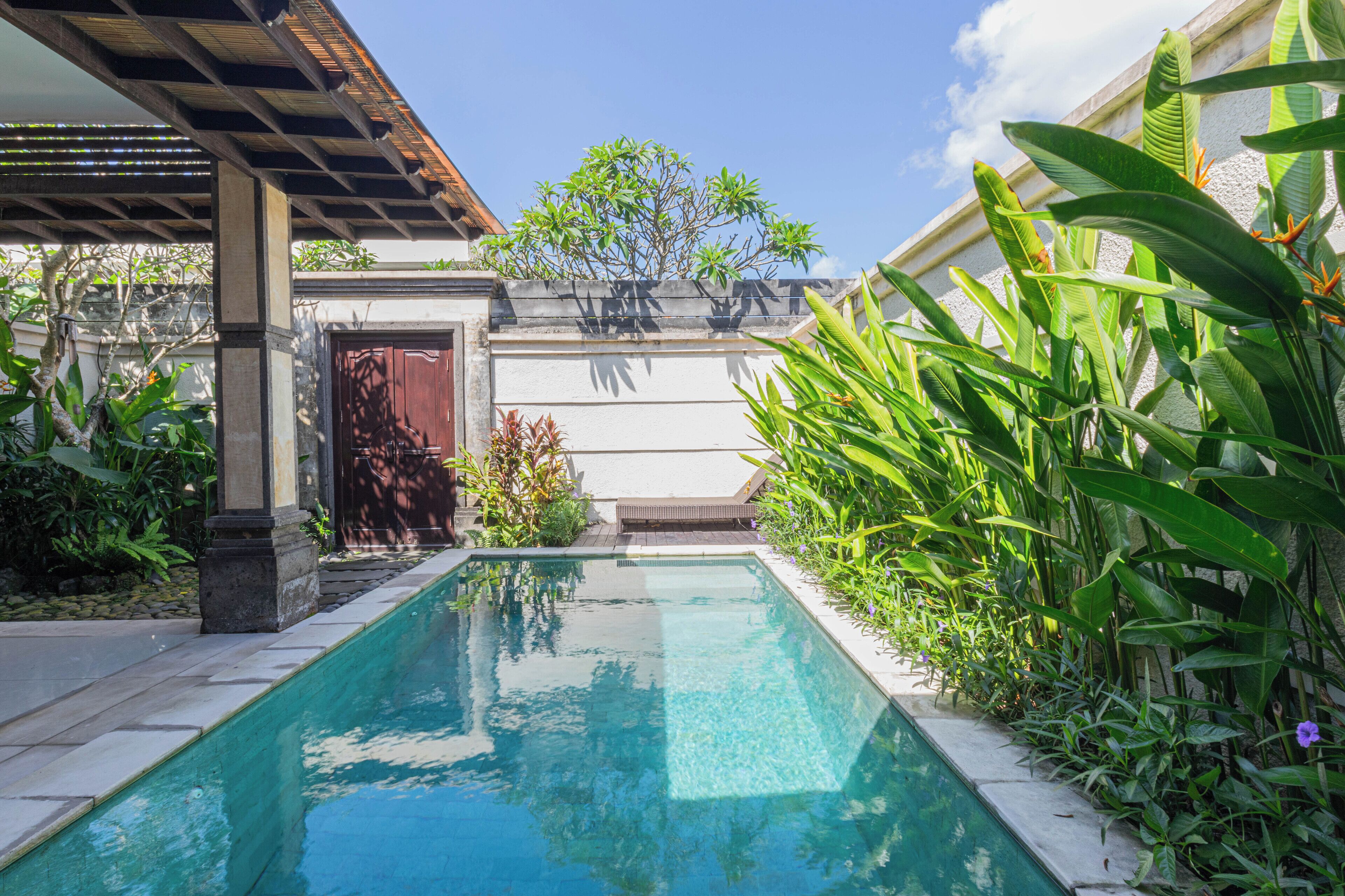 A swimming pool with a pergola, a wooden door, and lush greenery.