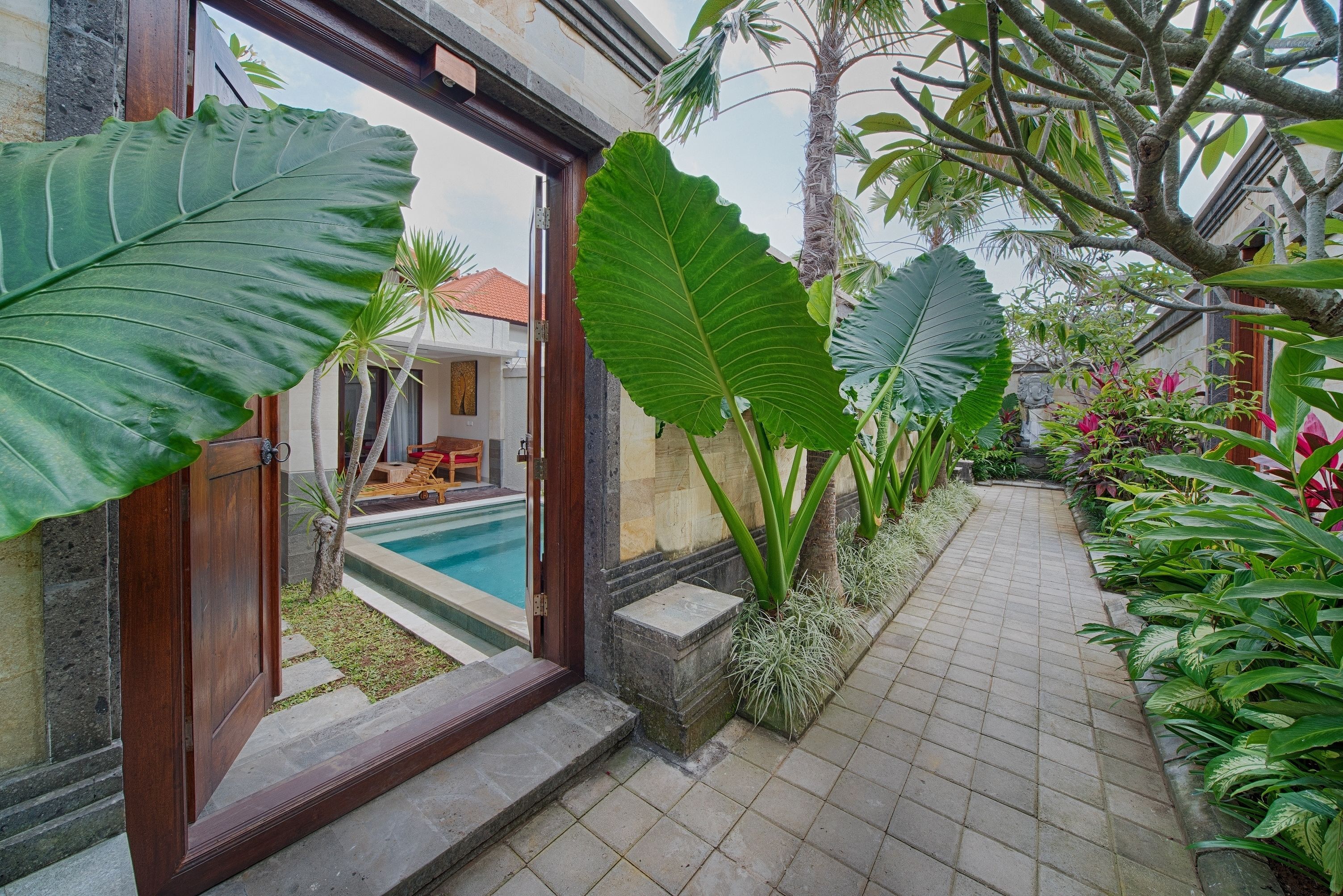 A tropical garden with a swimming pool, large plants, and a stone pathway.