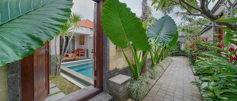 A tropical garden with a swimming pool, large plants, and a stone pathway.