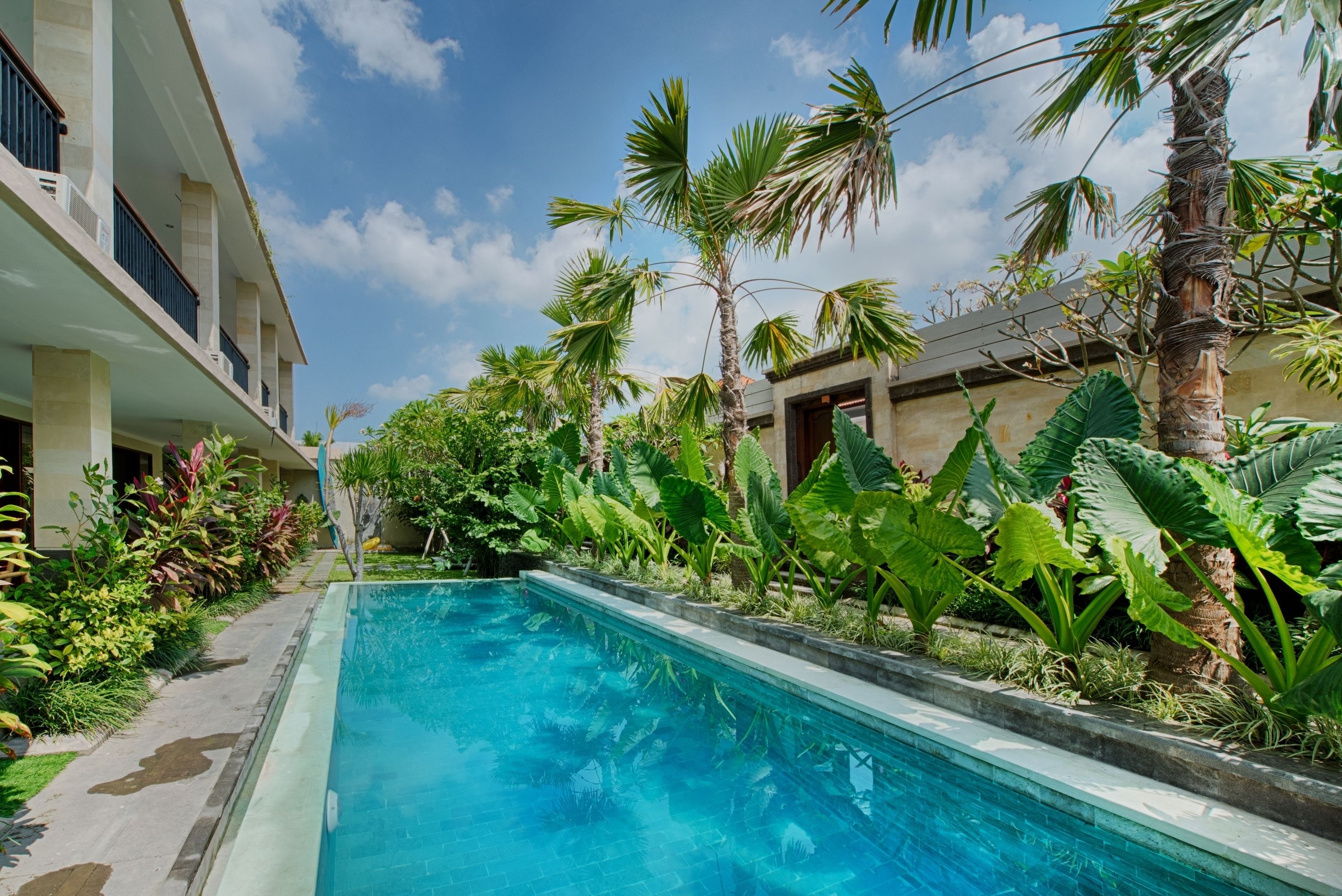 A swimming pool with a tiled edge, surrounded by lush tropical plants and palm trees.