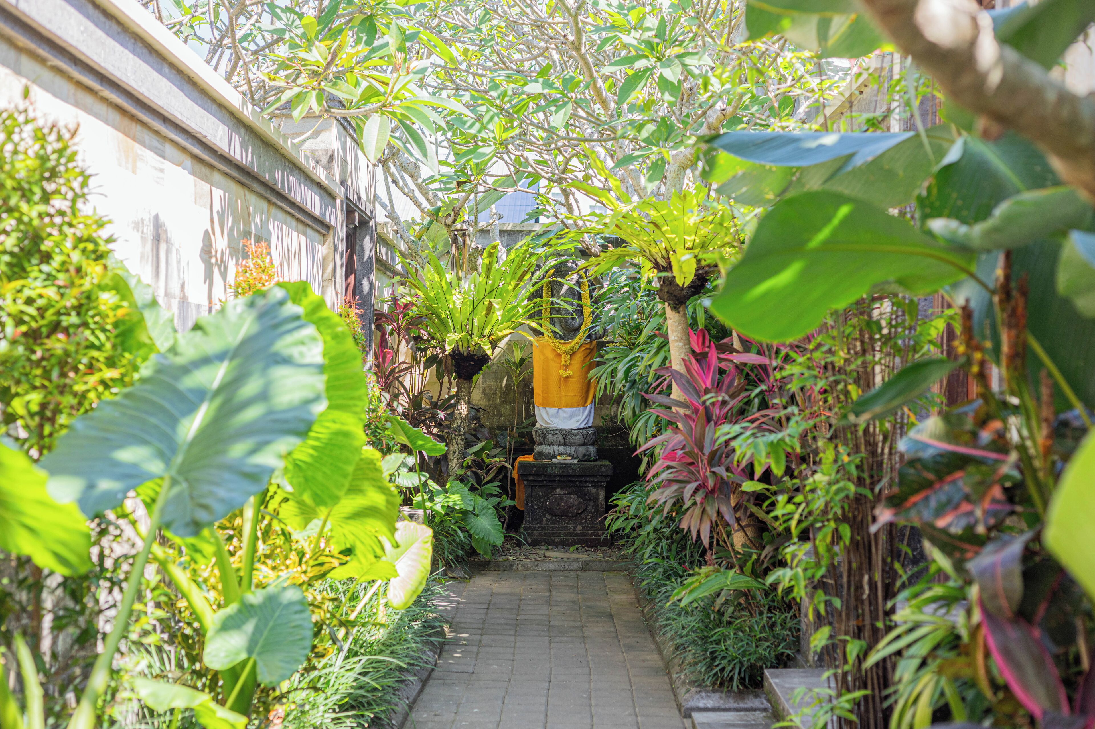 A narrow pathway flanked by lush greenery and a stone structure with a yellow hanging bag.
