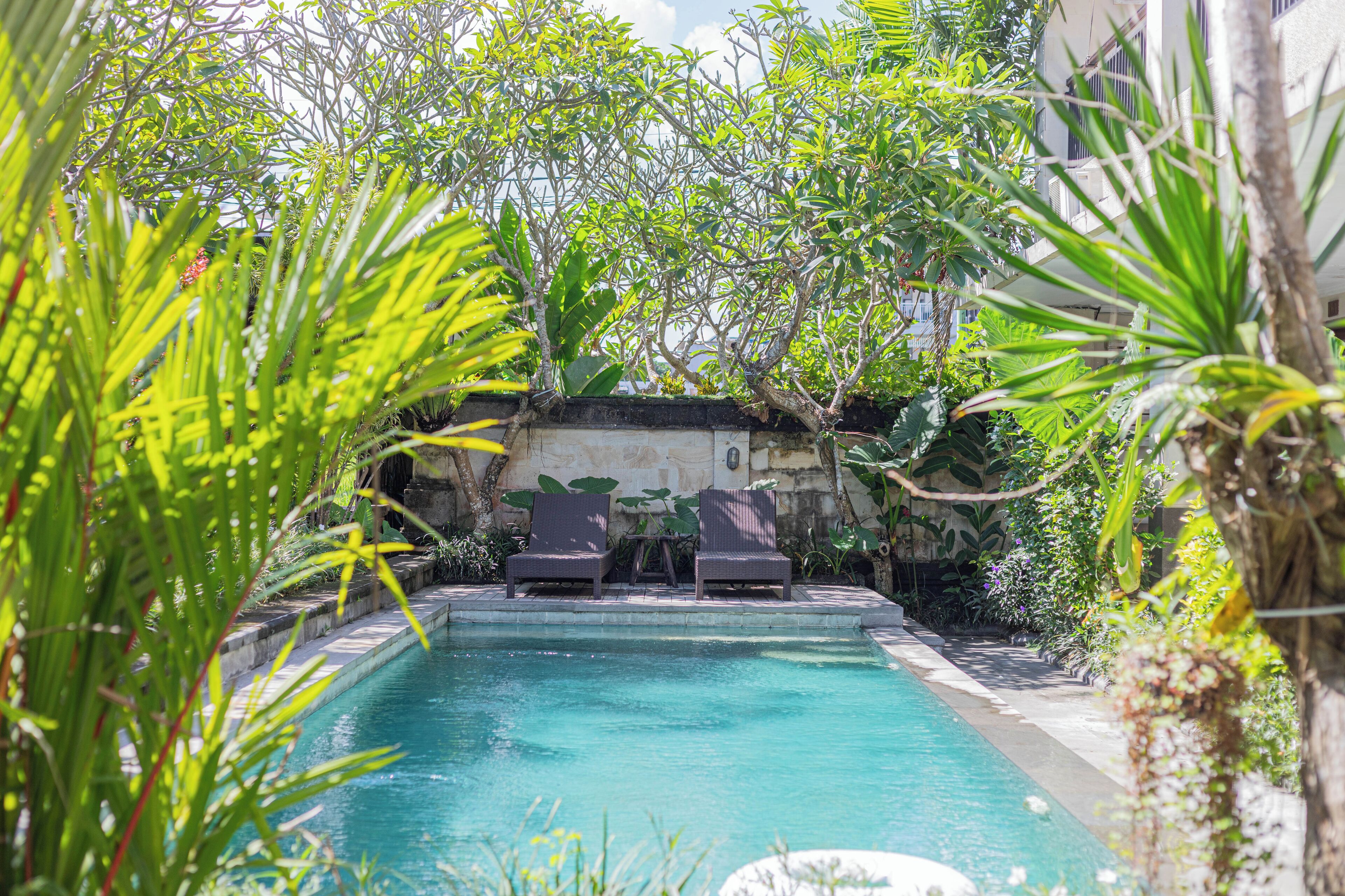 Una piscina rectangular con dos sillas de descanso, rodeada de abundante vegetación y un muro de piedra.
