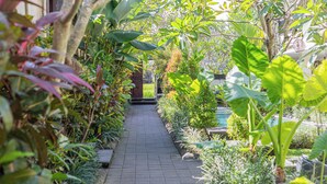Een tuinpad dat leidt naar een zwembad, omgeven door weelderige begroeiing en verschillende planten.