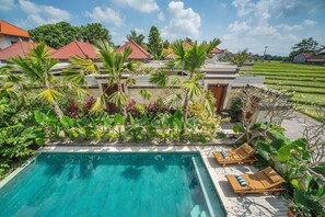 Outdoor pool - Puri Canggu Villas & Rooms (Canggu)