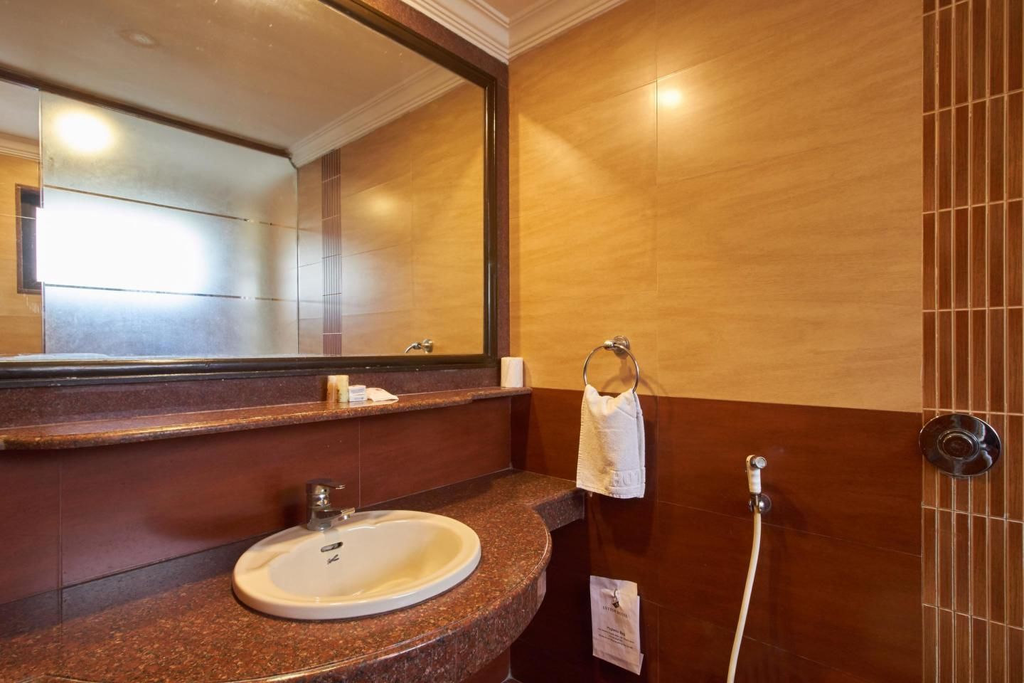 Casa de banho com lavatório, espelho, porta-toalhas e chuveiro.