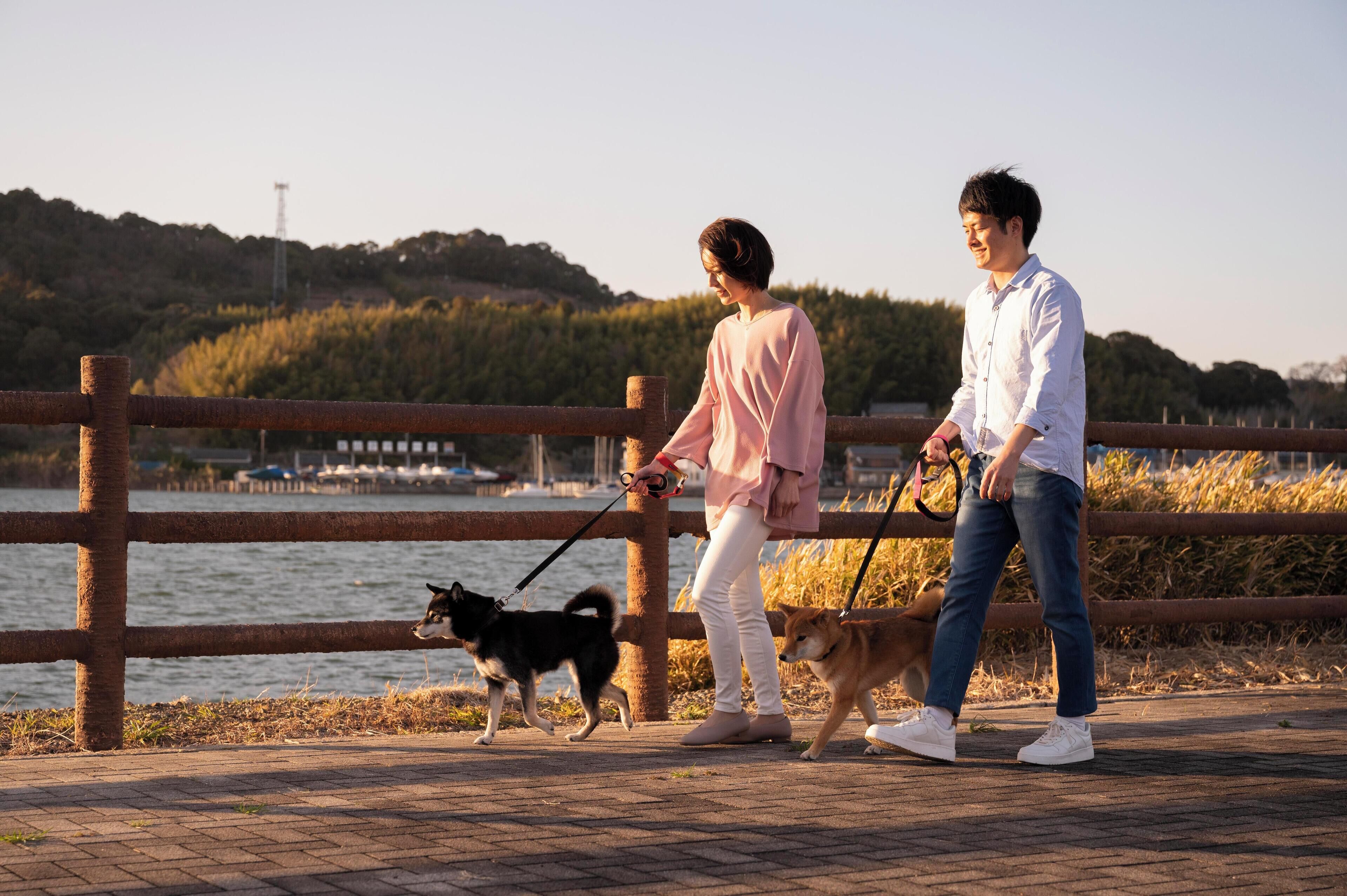 わんわんパラダイス 浜名湖 Expedia提供写真