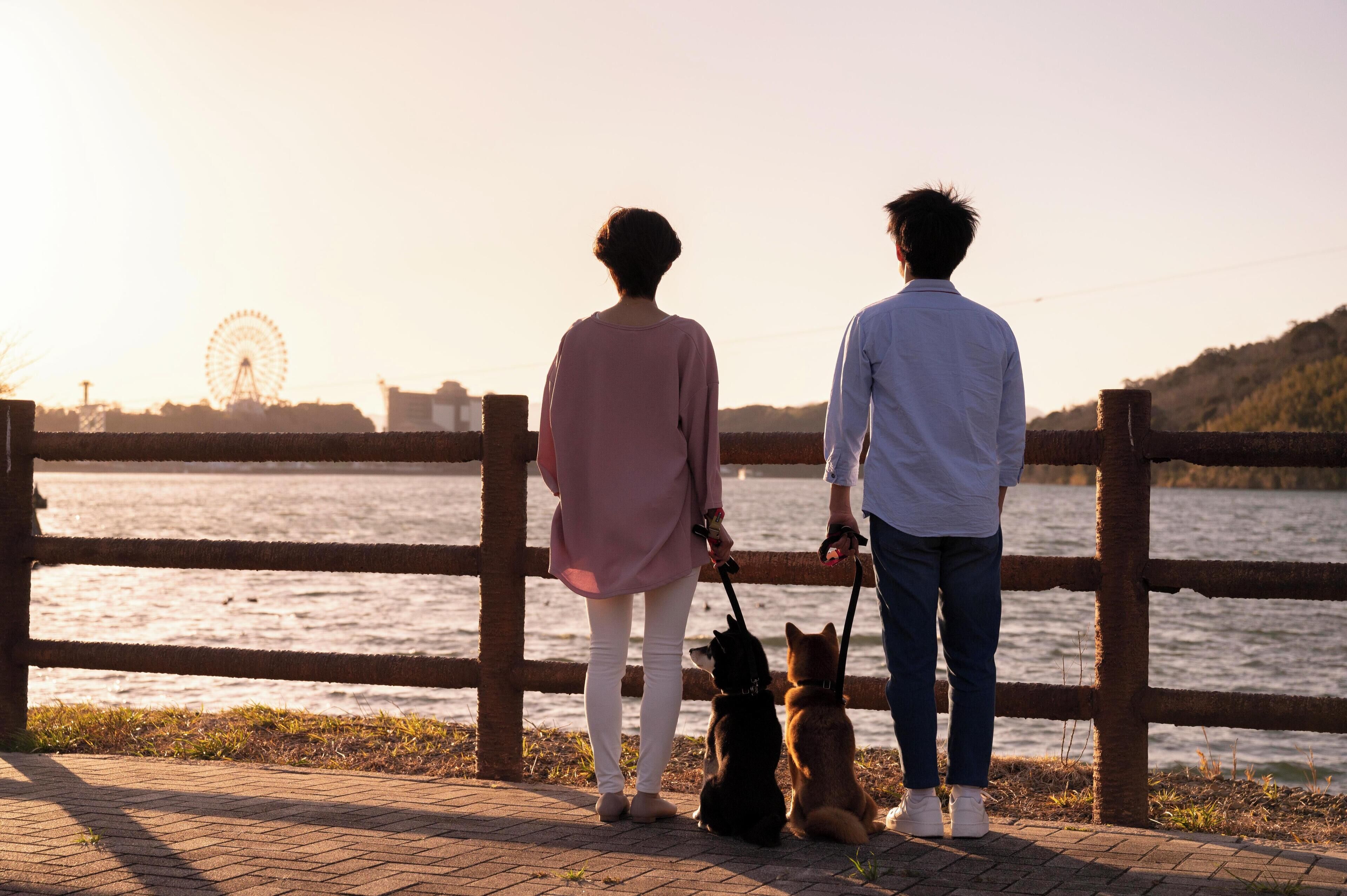 わんわんパラダイス 浜名湖 Expedia提供写真