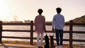 Dos personas y dos perros sentados en un banco de madera junto a un río, con una noria al fondo.