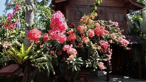 Ein Holzhäuschen umgeben von üppigem Grün und rosa Blüten.