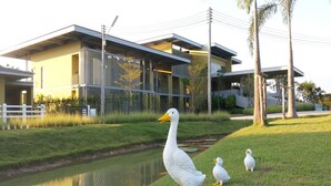 A modern building with a flat roof and large windows, surrounded by a grassy area and a small pond. - Villa Meesuk Residence (San Sai)