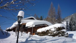 A snow-covered wooden cabin with a snow-covered roof and a snow-covered bush in front. - Chalet Brunnenhof (Sankt Anton am Arlberg)