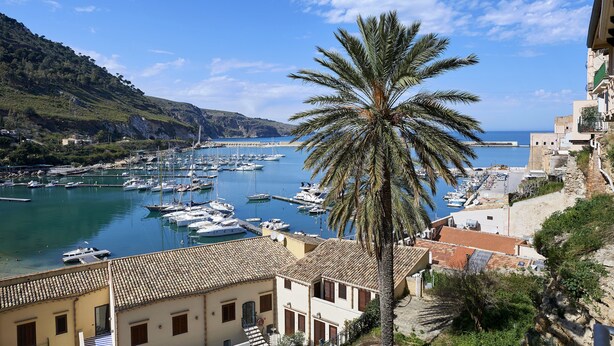 Une ville côtière dotée d’un port de plaisance, de bâtiments aux toits de tuiles et d’un palmier imposant.