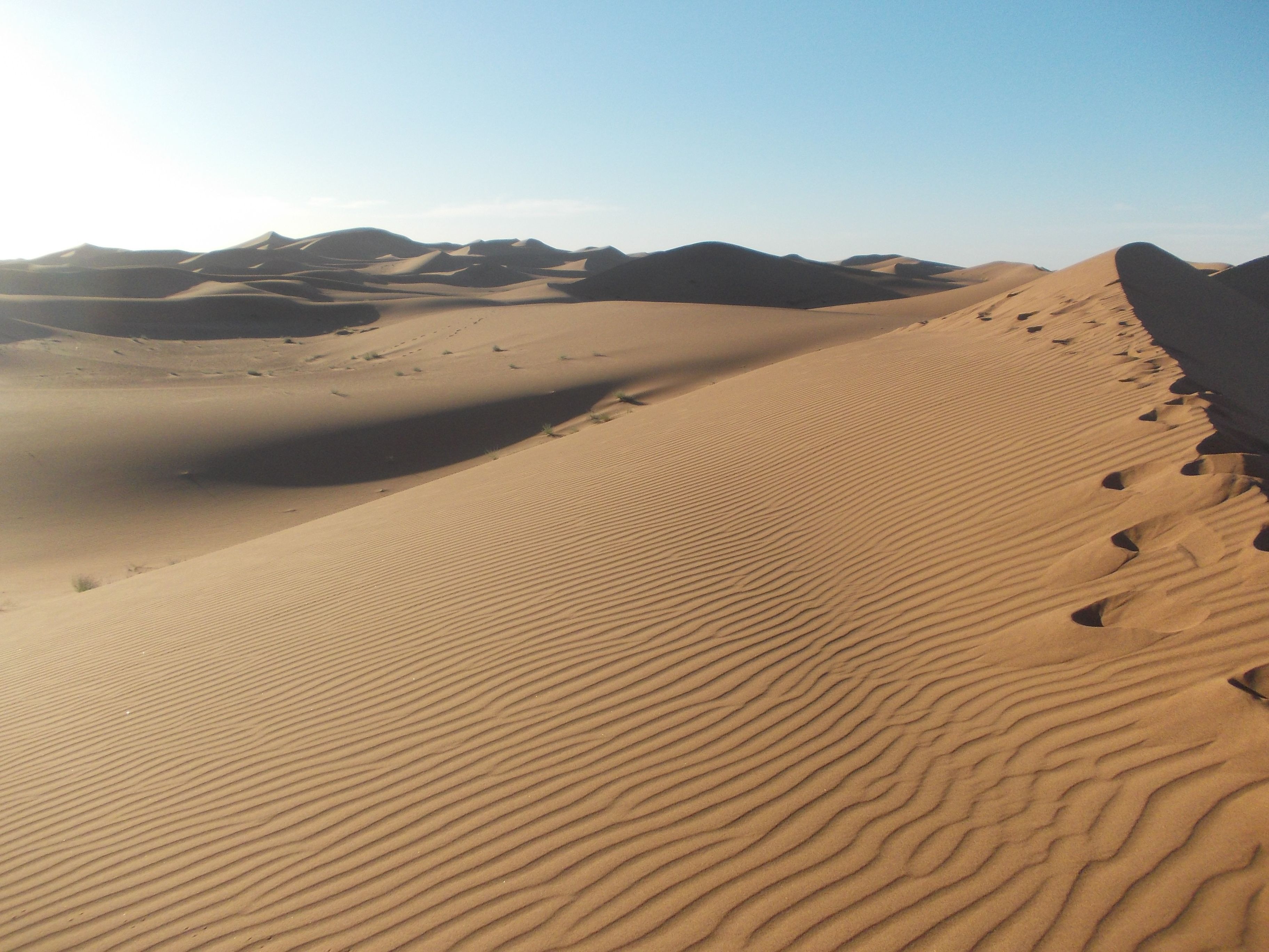 A desert landscape with undulating sand dunes and a clear sky.