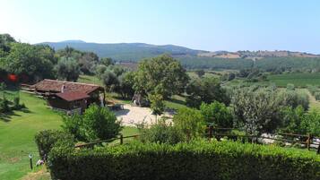 Blick auf die Umgebung